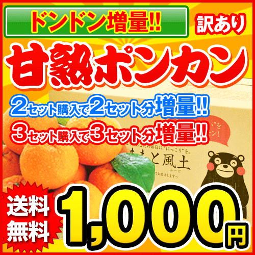 【1月出荷分締め切り間近！】★送料無料1,000円＆100円クーポン★甘熟ポンカン★ぽんかん1セット1.2kg【2セット購入で2セット分、3セット購入で3セット分増量】 大中小サイズ無選別※複数購