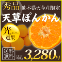 送料無料!【光センサー選果で厳選】秀品★天草ぽんかん約4kg/Lサイズ限定★ぽんかんの一大産地熊本県天草産限定《2月上旬-2月中旬頃より順次出荷》【楽ギフ_のし】