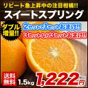 スイートスプリング 1.5kg 熊本県産 送料無料 旬 の ...