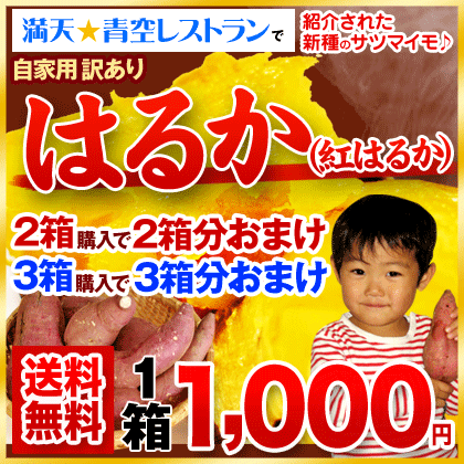 ＼青空レストランで紹介／★今だけ早割★!誕生の地熊本産訳ありはるか1箱1kg入り※大中小サイズ混合(不選別)※複数箱の場合1箱におまとめ配送《11月10日〜11月下旬頃より順次出荷》満点☆青空レストラン 紅はるか さつまいも