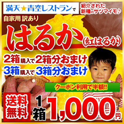 ★クーポン利用で半額★＼青空レストランで紹介／!誕生の地熊本産訳ありはるか1箱1kg入り※大中小サイズ混合(不選別)※複数箱の場合1箱におまとめ配送《11月10日〜11月下旬頃より順次出荷》満点☆青空レストラン 紅はるか さつまいも