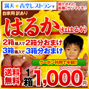 ★クーポン利用で半額★＼青空レストランで紹介／【送料0円】!誕生の地熊本産訳ありはるか1箱1kg入り【2箱購入で2箱分おまけ！3箱購入で3箱分おまけ！】【自家用訳あり】※大中小サイズ