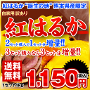 【送料0円】訳あり紅はるか1kg【なんと3セット購入で3セッ...