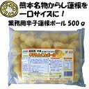 【業務用】【冷凍便】冷凍辛子れんこんボール 500g 熊本名物 からし蓮根 酒のつまみ ビールのお供に 2個まで混載送料60サイズ