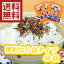 【送料無料】便利な小袋タイプ 御飯の友 40袋(1袋2.5g) 業務用 お弁当のお供にも最適 熊本県民の愛するふりかけフタバ食品
