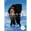 【送料無料!】【DVD】 星になった少年 Shining Boy & Little Randy スペシャル・エディション TDV-16054在庫限りの大放出!ご注文はお早めに。 2,640円
