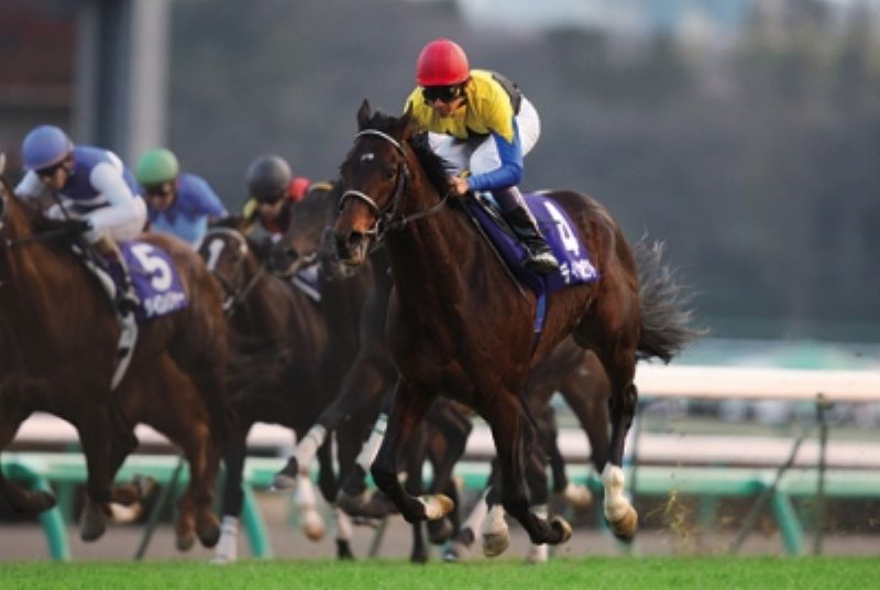 【取寄】★3割引!!★1000ピースジグソーパズル『ディープインパクト06、有馬記念』