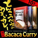 【 宅配便 送料無料 】 博多とんこつバカカカレー10食セット 【tg_tsw】【ID:0067】( カレー レトルト / カレー ルー )『4』【発送日:7営業日以内(土日祝除く)】