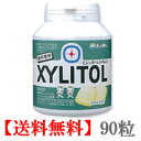 【 定形外 送料無料 】 歯科専用 キシリトールガム ボトルタイプ 90粒 アップルミント