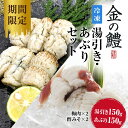 瀬戸内海産金の鱧湯引き・炙りセット300g【送料無料】 ハモ はも 冷凍 ゆびき あぶり