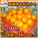 送料無料☆1,000円ポッキリ！愛媛西宇和小玉みかん【全国送料無料】1,000円ポッキリ愛