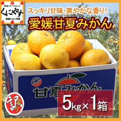 【送料無料】訳あり愛媛甘夏みかん5kg 愛媛県産 産地直送「訳あり甘夏5kg」...:kuniyasu:10000200