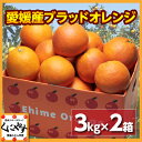 愛媛産ブラッドオレンジ6キロ(3キロ×2箱)(タロッコ)ブラッドオレンジ,タロッコ,送料無料,愛媛産,お試し
