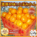 みかん/濃厚甘味小玉みかん(2S)訳あり(わけあり)でもなくお得愛媛西宇和産小玉みかん6kg(3kg×2箱)最高級ブランド日の丸みかんと同一産地小粒みかんみかん/小玉みかん(2S),愛媛みかん,日の丸みかん同一産地,訳あり(わけあり)でもなくお得小粒みかん,愛媛西宇和みかん,糖度,にしうわ