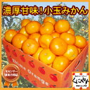 みかん/濃厚甘味小玉みかん(2S),日の丸みかんと同一産地訳あり(わけあり)でもなくお得愛媛西宇和小玉みかん12kg(3kg×4箱)愛媛みかん,お試し,雑誌掲載みかん/濃厚甘味小玉みかん(2S),日の丸みかんと同一産地,愛媛みかん,訳あり(わけあり)でもなくお得小粒みかん,愛媛西宇和小玉みかん