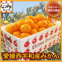 愛媛みかん5kg!【みかん安心光センサー選果合格品