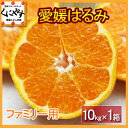 【希少品】【安心光センサー選果合格品】【送料無料】【ファミリー用】愛媛はるみ10kg(1箱×10kg)デコくん(通称デコポン)の兄弟分,はるみみかん,はるみオレンジ