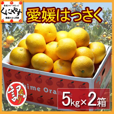 【送料無料】【訳あり品】愛媛はっさく(八朔)10kg(5kg×2箱)大きさ不揃い,見た目チ…...:kuniyasu:10000400