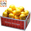 【送料無料】【訳あり品】愛媛はっさく(八朔)10kg(5kg...