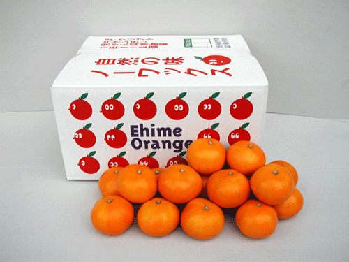 ̵۰ɲ»Τߤɲ»ߤ£ѡ10kg