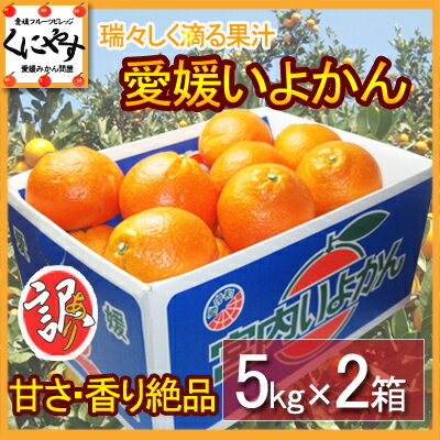 訳ありいよかん！【送料無料】愛媛いよかん10kg(5kg×2箱)大きさ不揃い,数はお任せ