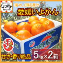 訳ありいよかん！愛媛いよかん10kg(5kg×2箱)4L〜Lサイズ混合数はお任せ訳ありいよかん！送料無料,愛媛いよかん10kg