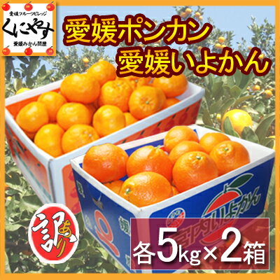 訳あり愛媛ポンカンといよかんセット10kg(各5kg×2箱)訳ありいよかん,訳ありポンカン！送料無料,愛媛ポンカンといよかんセット