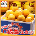 【送料無料】お値打ちC級品ジューシー柑1...