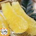 【送料無料】訳ありジューシー柑10kg(10kg×1箱)大きさ不揃い,数お任せの訳あり品 河