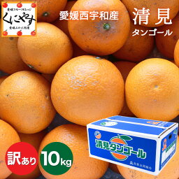 ★食べるジュース！越冬完熟品＼創業84年 愛媛みかん の老舗／【送料無料】【産地直送】愛媛西宇和産 清見タンゴール <strong>訳あり</strong> 10kg (5kg×2箱)「<strong>訳あり</strong>清見5×2」清見オレンジ <strong>デコポン</strong>・せとかの母 オレンジ キヨミオレンジ きよみ みかん