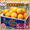 訳あり愛媛清見タンゴール10kg(5kg×2箱)通称デコポン/せとかの母清見タンゴール！通称デコポン・せとかの母！送料無料,訳あり品,愛媛,10kg(5kg×2箱)