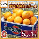 デコポン・せとかの母！訳あり愛媛清見タンゴール5kg種がなくパクパク食べ易い 愛媛県産 産地直送清見タンゴール！デコポン・せとかの母！送料無料,訳あり品,愛媛,5kg 愛媛県産 産地直送