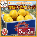 【送料無料】【赤字覚悟】訳あり愛媛ナダオレンジ10kg(5kg×2箱)(別名：河内晩柑,かわちばんかん,宇和ゴールド,ジューシーオレンジ,美生柑,愛南ゴールド)ワケまち,ワケ待ち,訳待ち,訳まち【2sp_120720_a】