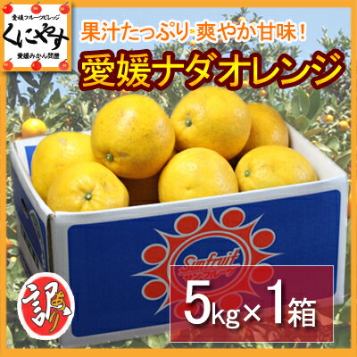 【送料無料】【赤字覚悟】訳あり愛媛ナダオレンジ5kg(5kg×1箱）(別名：河内晩柑,かわちばんかん,宇和ゴールド,ジューシーオレンジ,美生柑,愛南ゴールド)ワケまち,ワケ待ち,訳待ち,訳まち【2sp_120720_a】