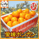 【送料無料】訳あり愛媛ポンカン10kg(5kg×2箱)手でむいてみかんのようにパクパク内皮も一緒に食べられる手軽さで大人気