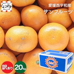 ★酸味と苦味の中のほのかな甘さ★＼創業84年 愛媛みかん の老舗／【送料無料】【産地直送】愛媛西宇和産 サンフルーツ (新甘夏) 訳あり 20kg(5kg×4箱) マーマレードやピール作りに！「訳ありサンフルーツ5×4」夏みかん あまなつ みかん