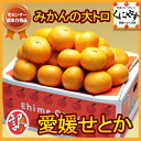 【せとか】【みかん】【送料無料】【究極の柑橘】訳あり愛媛産せとか5kg 安心光センサー選果合格品 糖度と酸度測定の味センサー選果！みかんの大トロ！