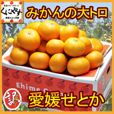 【順次出荷中】【送料無料】【究極の柑橘】訳あり愛媛せとか5kgみかんの大トロ！