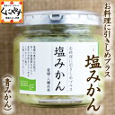 【同梱専用商品】「塩みかん150g(青みかん)」 愛媛の新しい万能調味料
