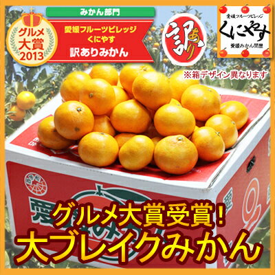 グルメ大賞2013受賞！1〜5営業日以内に発送予定！配送日指定も可能！【送料無料】大ブレイク！訳ありみかん10kg(10キロ×1箱)ミカンのトップクラスのブランド愛媛西宇和産最高級ブランド日