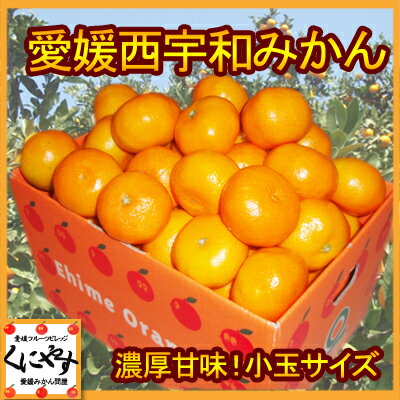 みかん安心光センサー選果合格品愛媛西宇和小玉みかん3kg日の丸みかんと同一産地訳あり(わけあり)でもなくお得,雑誌掲載,2Sみかんのトップブランド愛媛西宇和みかん,光センサー選果みかん,日の丸みかんと同一産地,送料無料,訳あり(わけあり)でもなくお得,雑誌掲載,3kg,2S