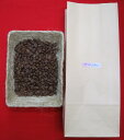 レギュラー珈琲豆 スペシャルアメリカン 1kg 2800円税別