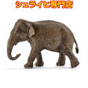 VCq Ch X 14753 tBMA ChCt Wild Life WO Jungle schleich