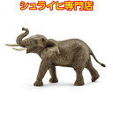 シュライヒ アフリカ象 オス 14762 動物フィギュア ワイルドライフ Wild Life サファリ Safari schleich