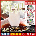 ふぐ 刺身 国産 とらふぐ 刺し6〜8人前【送料無料】 九州...