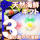 【あす楽、送料無料】瀬戸内が育んだ3種の天然海鮮ギ