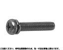 BS(+)ナベP=2 材質(黄銅) 規格(4X10) 入数(1500)