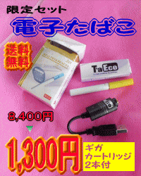 ■電子タバコ■タエコ限定セット(ギガカートリッジ2本付）【禁煙】