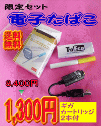 ■電子タバコ■タエコ限定セット(ギガカートリッジ2本付）【禁煙】【マラソン201207_日用品】電子タバコ　タエコ　限定セット（カートリッジ付）　禁煙代引き不可【マラソン201207_日用品】