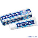 《A》(入れ歯用接着剤)アース ポリグリップS 75G【D】